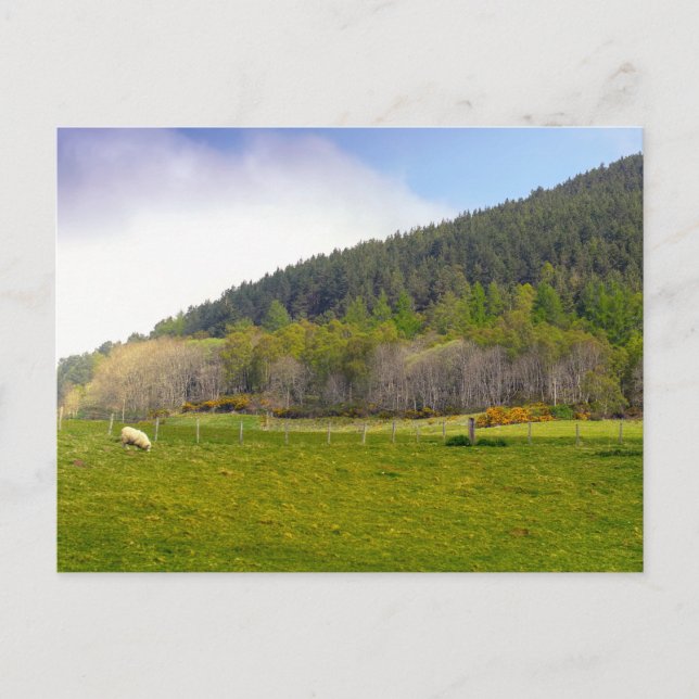 Schottische Highlands-Landschaft Postkarte (Vorderseite)