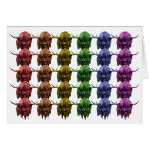 Schottische Hochland-Kuh