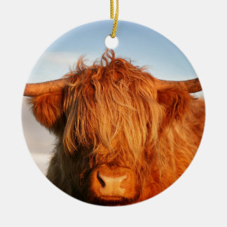 Schottische Hochland-Kuh - Schottland Keramikornament