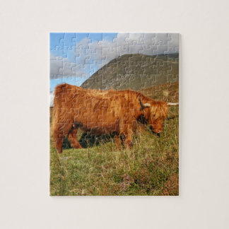 Schottische Hochland-Kühe - Schottland Puzzle
