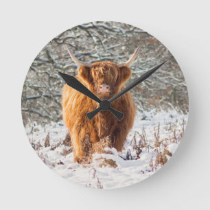 Schottische Hochlandkuh im Schnee Runde Wanduhr
