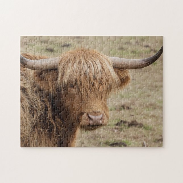 Schottische Hochlandkuh Puzzle (Horizontal)