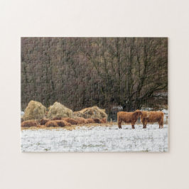 Schottische Hochlandkühe behaltend warm im Winter Puzzle