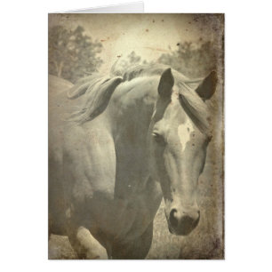 Schottische Imitate Vintag