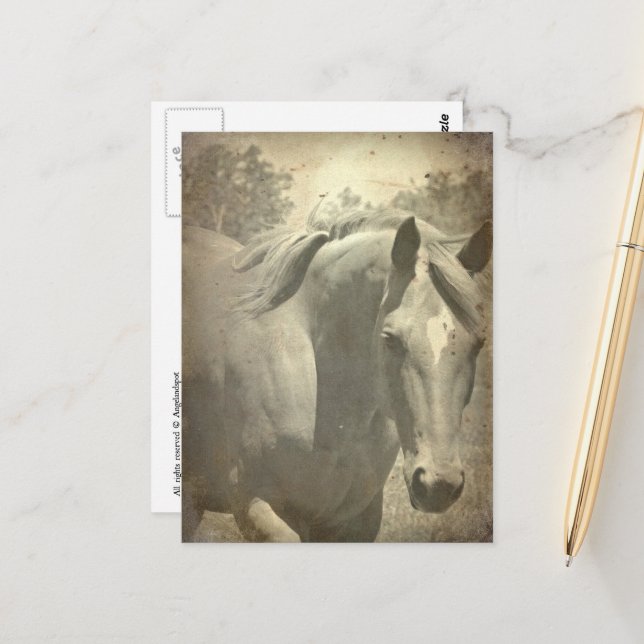 Schottische Imitate Vintag Postkarte (Vorderseite/Rückseite Beispiel)