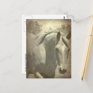 Schottische Imitate Vintag Postkarte