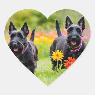 Schottische Terrier in Gras und Blume Herz-Aufkleber
