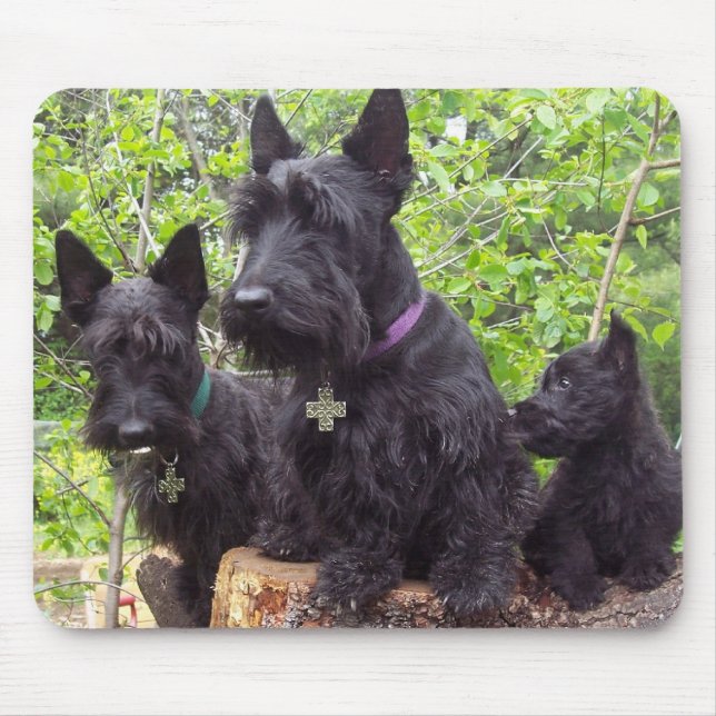 Schottische Terrier Mousepad (Vorne)