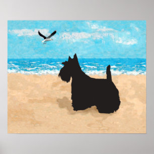 Schottische Terrier und Seagull Poster