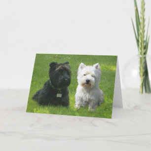 Schottische und West Highland Terrier Greenwood Karte