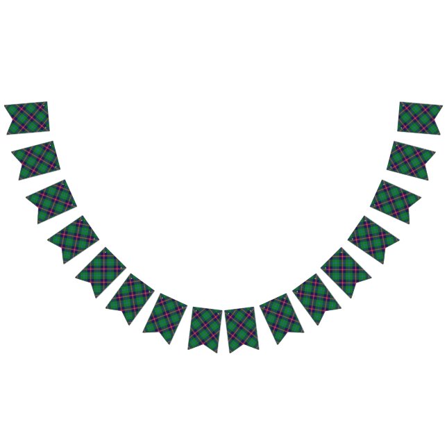 Schottischer Clan-JungeTartan Wimpelkette (Alle)