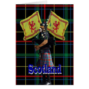 Schottischer Pfeifer auf Tartan