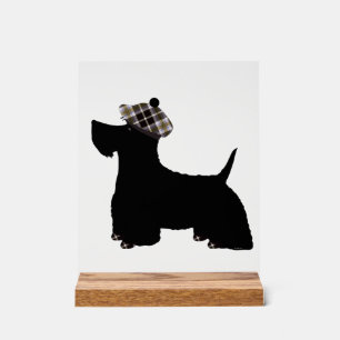 Schottischer Terrier Acrylschild