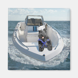 Schottischer Terrier auf dem Boot Magnet