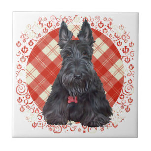 Schottischer Terrier auf Tartan Fliese