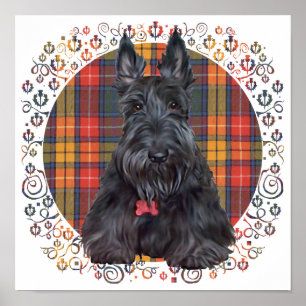 Schottischer Terrier auf Tartan Poster