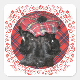 Schottischer Terrier auf Tartan Quadratischer Aufkleber
