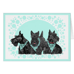 Schottischer Terrier Grußkarte