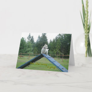Schottischer Terrier Grußkarte Karte