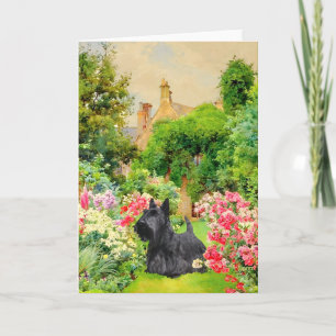 Schottischer Terrier Grußkarte Karte