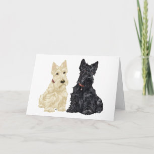 Schottischer Terrier-Grußkarte Karte