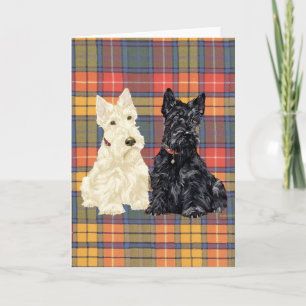 Schottischer Terrier-Grußkarte Karte