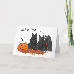 Schottischer Terrier Halloween-Grußkarte Karte