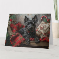 Schottischer Terrier Hund Weihnachtsfestlich