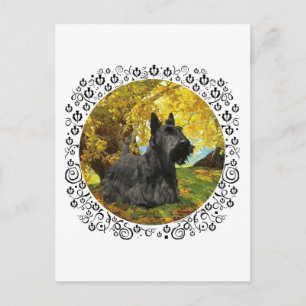 Schottischer Terrier im herbstlichen Wald Postkarte