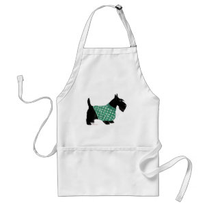 Schottischer Terrier in einem Pullover Schürze
