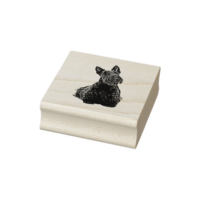 Schottischer Terrier niedlicher Blick auf die Fron Gummistempel (Stempel)