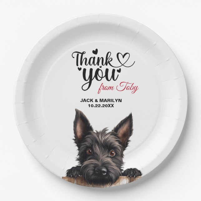 Schottischer Terrier Pappteller (Vorderseite)