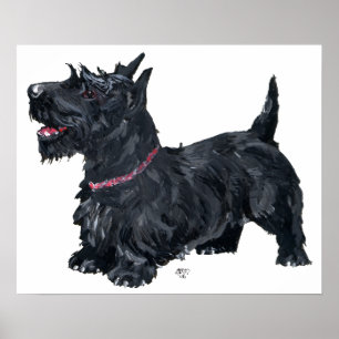 Schottischer Terrier Poster