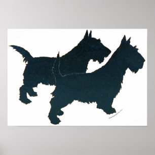Schottischer Terrier Poster