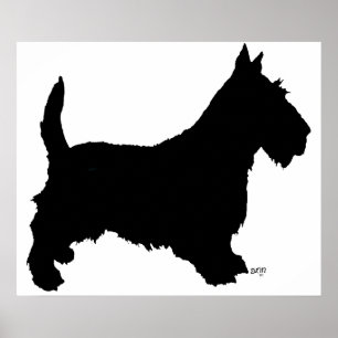 Schottischer Terrier Poster