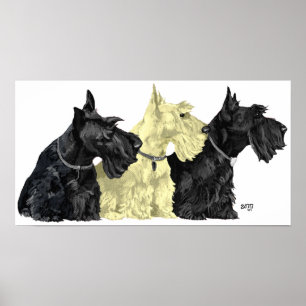 Schottischer Terrier Poster