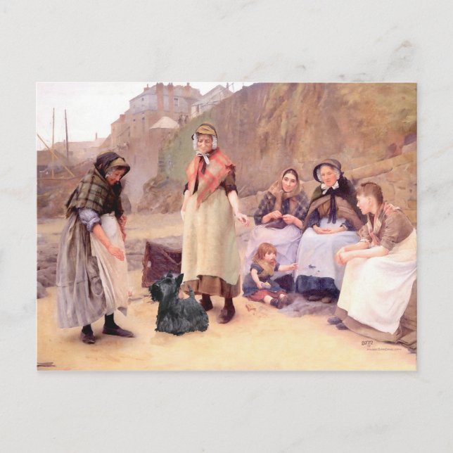 Schottischer Terrier Postkarte (Vorderseite)