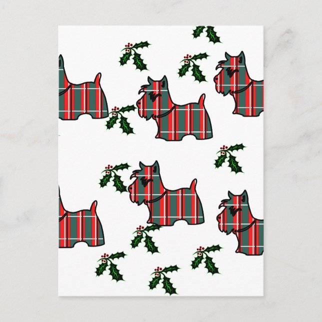 SCHOTTISCHER TERRIER POSTKARTE (Vorderseite)