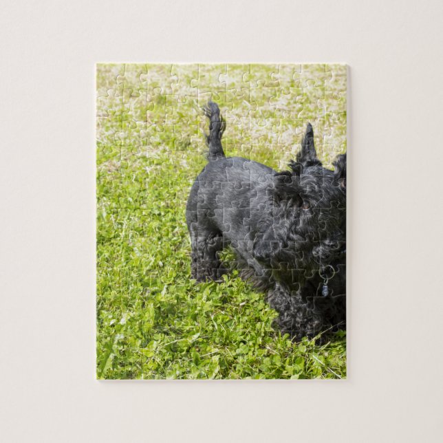 Schottischer Terrier Puzzle (Vertikal)
