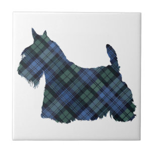 Schottischer Terrier Tartan Silhouette Fliese