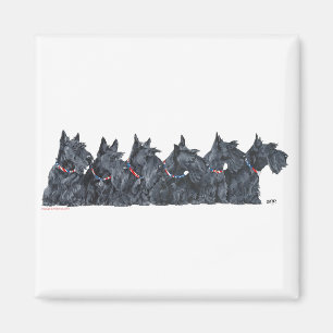 Schottischer Terrier-Treff Magnet