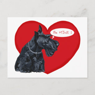Schottischer Terrier Valentine Feiertagspostkarte