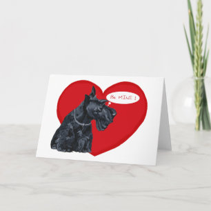 Schottischer Terrier Valentinstag Feiertagskarte