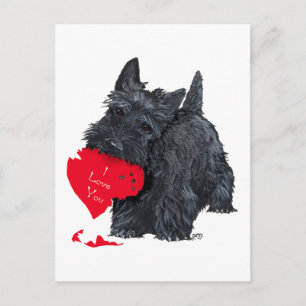 Schottischer Terrier Valentinstag Feiertagspostkarte