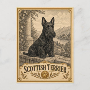 Schottischer Terrier, Vintage Heritage Hund Postkarte