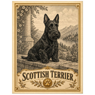 Schottischer Terrier, Vintage Heritage Hund Postkarte