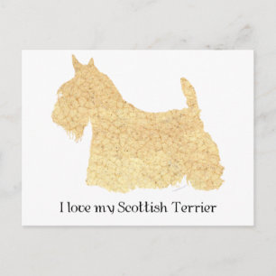 Schottischer Terrier Weizen Silhouette Postkarte