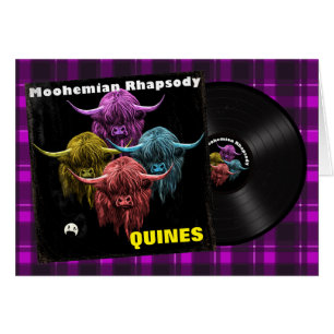 Schottisches Highland-Rind. Moohemian Rhapsodie
