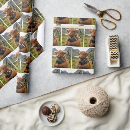 Schottisches Highland-Rind spielt auf den Dudelsäc Geschenkpapier