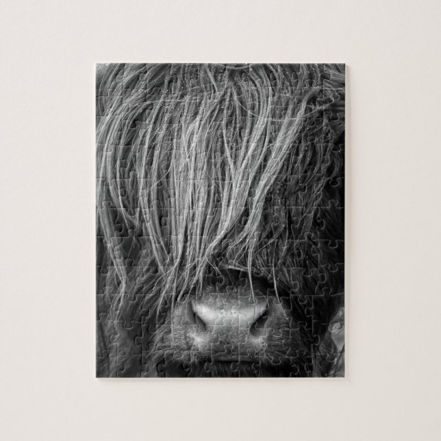 Schottisches Hochland-Vieh - Schottland Puzzle (Vertikal)